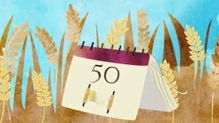 As festas e a contagem do Omer