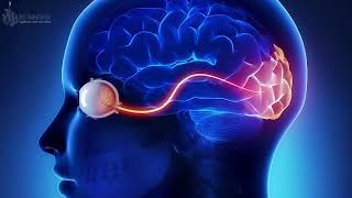 A vantagem do estudo