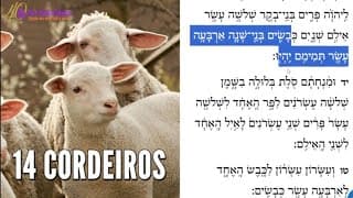 Os sacrifícios de Sucot
