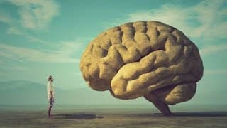 O Mundo do Entendimento