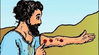 O afastamento do Leproso e a lepra das Roupas