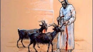 Os cabritos e o penhasco