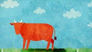 A Vaca Vermelha