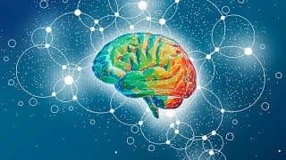 O segredo para boa memória