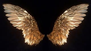 Anjos são limitados