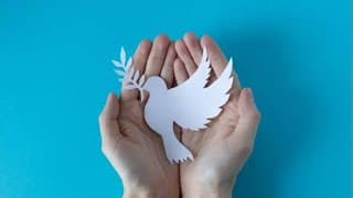 Antes da Guerra, ofereça a paz