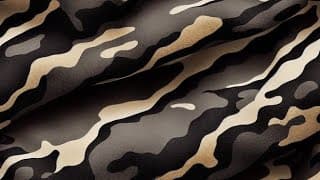 Camuflagem
